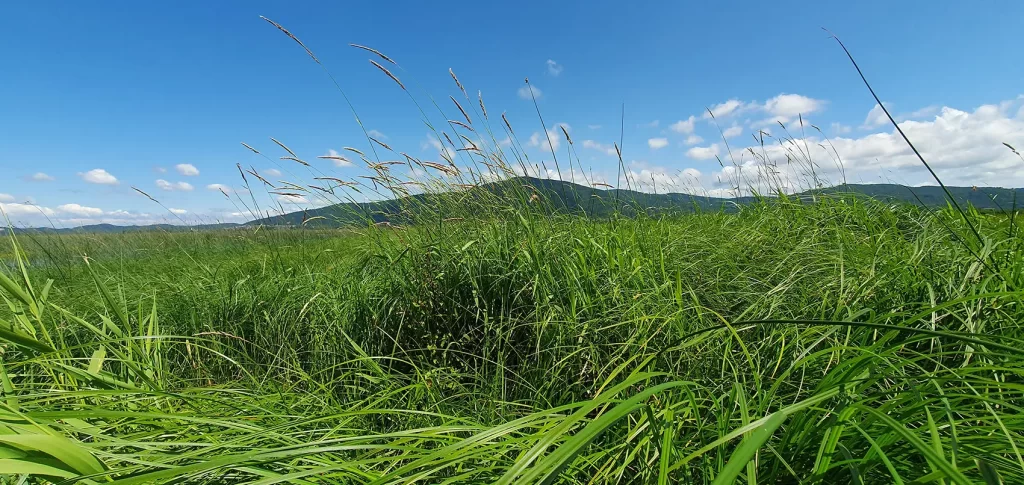 Cerkniško jezero - Slivnica foto Robert Kužnik
