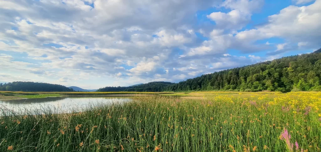 Cerkniško jezero foto Robert Kužnik
